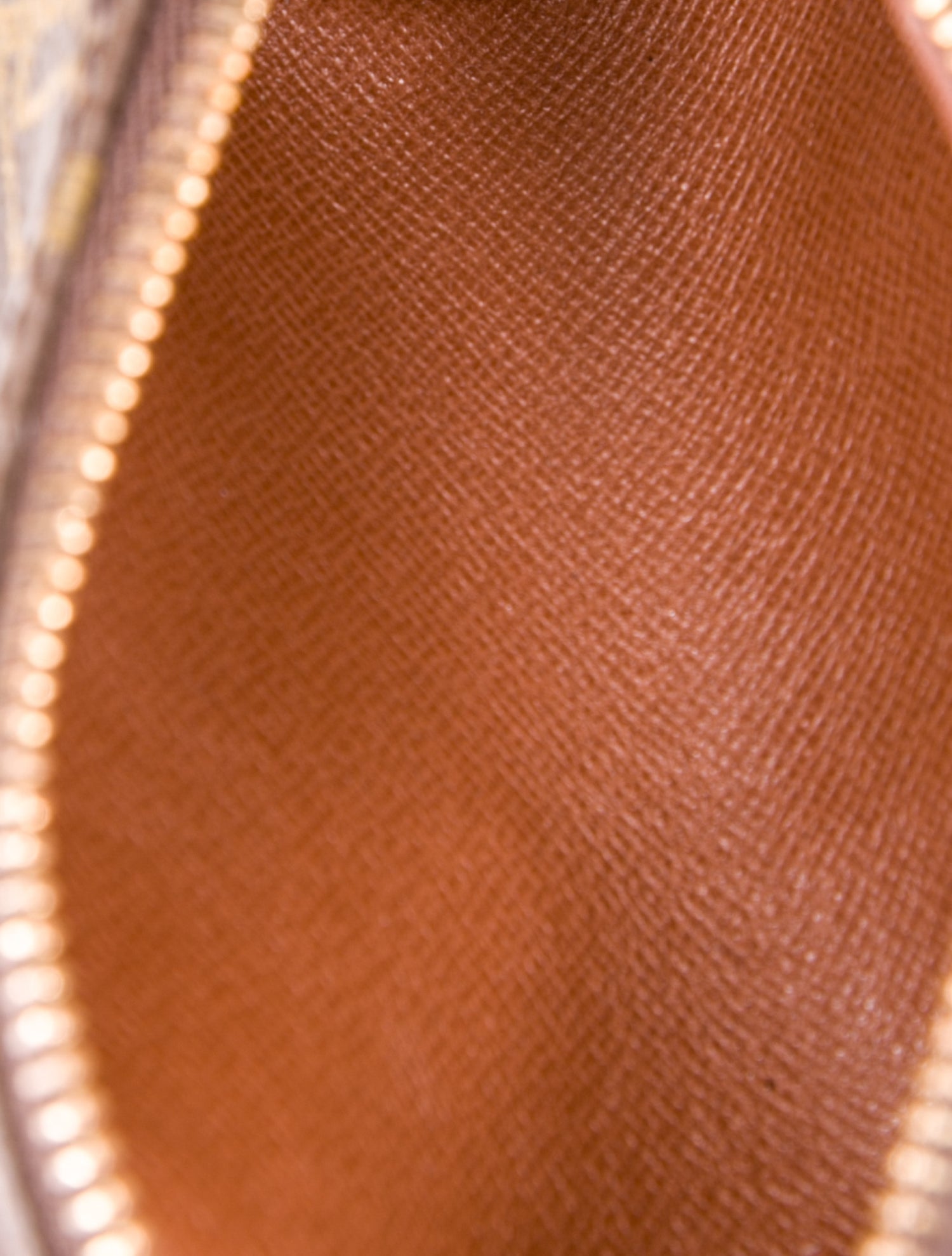 Louis Vuitton LV Monogram Papillon Pochette